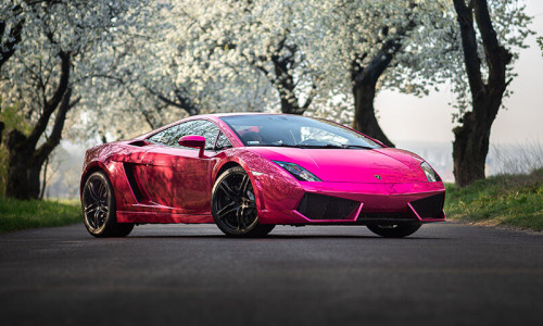 Lamborghini Gallardo różowe