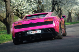 Lamborghini Gallardo na drodze w kolorze różowym
