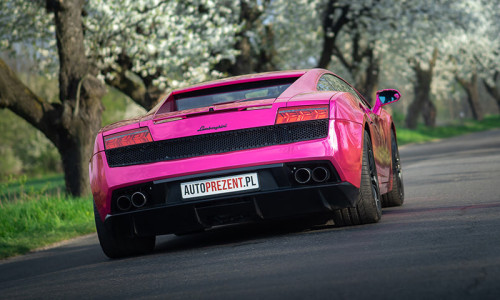 Lamborghini Gallardo na drodze w kolorze różowym