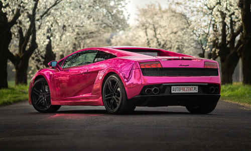 Lamborghini Gallardo tył samochodu w różu