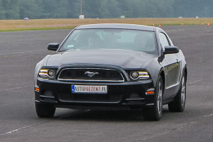 Ford Mustang 14