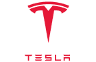 Logotyp Tesla